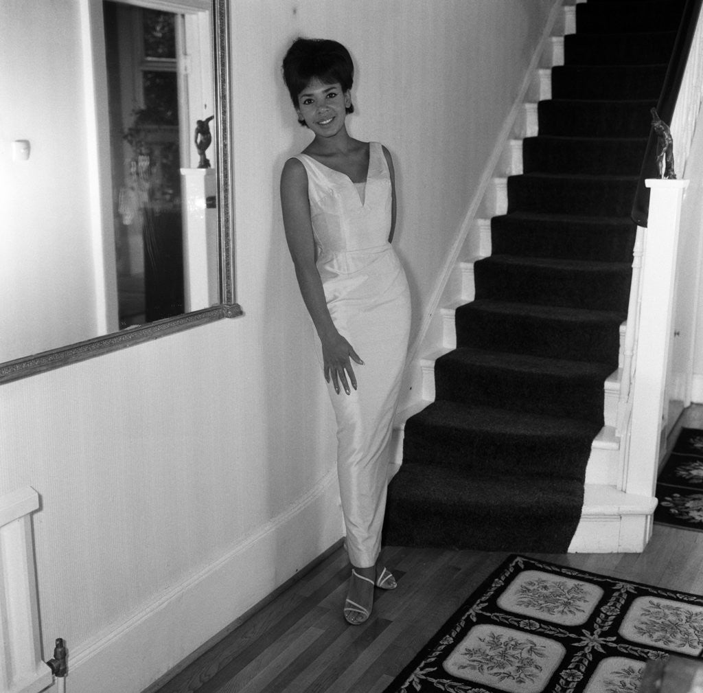 Detail of Shirley Bassey by Freddie Reed