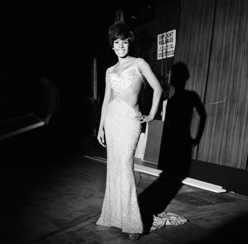 Detail of Shirley Bassey by Ray Weaver