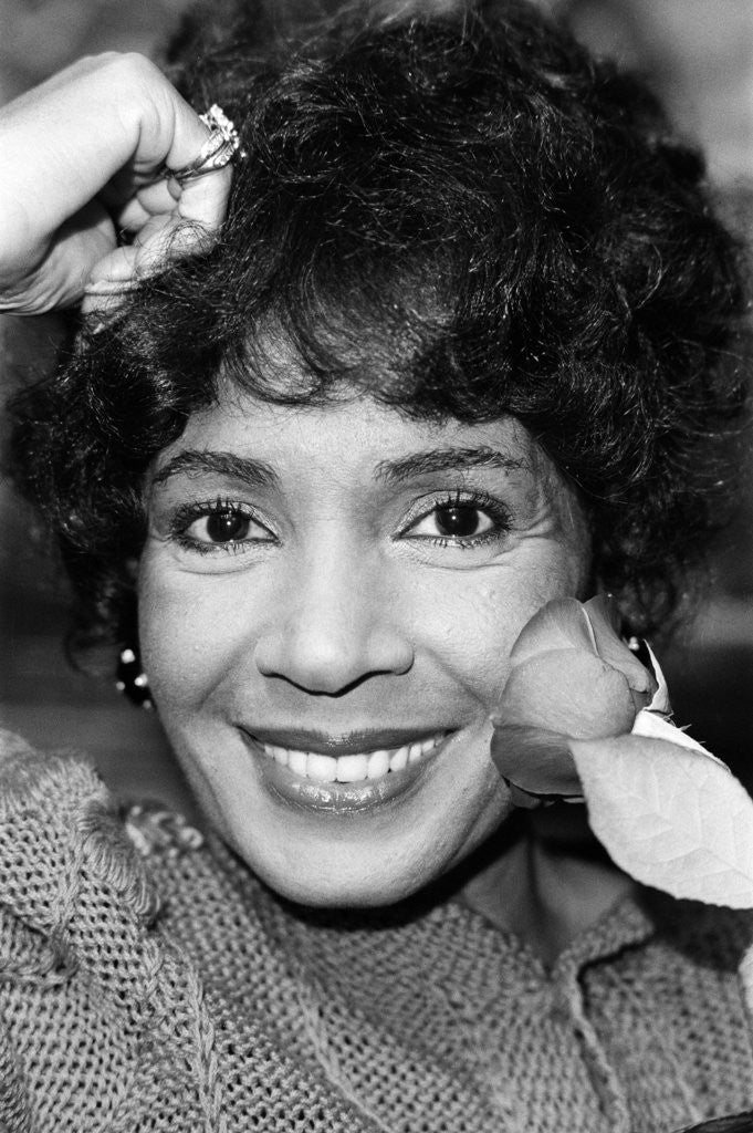 Detail of Shirley Bassey by Wilkinson