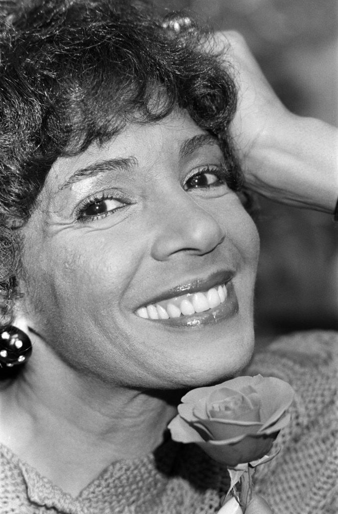 Detail of Shirley Bassey by Wilkinson