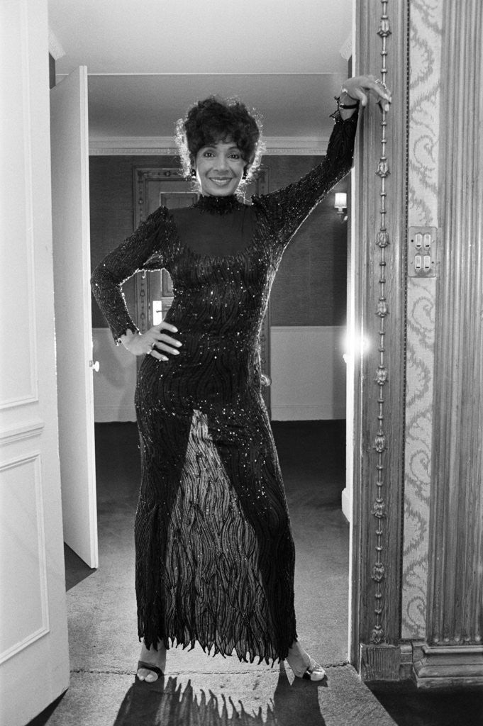 Detail of Shirley Bassey by Wilkinson