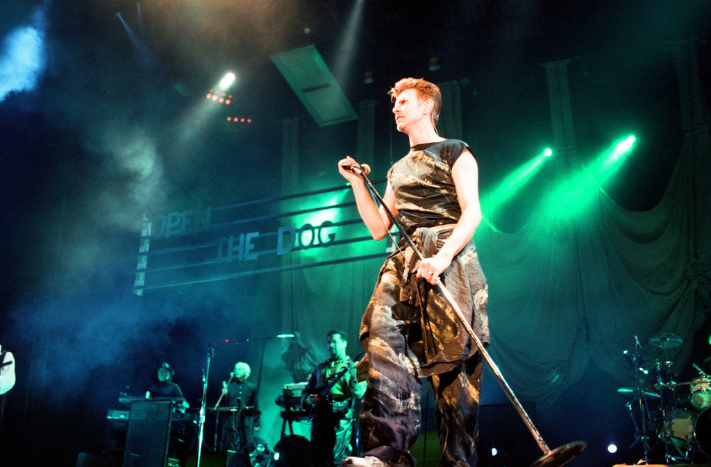 Detail of David Bowie, 1995 by Staff