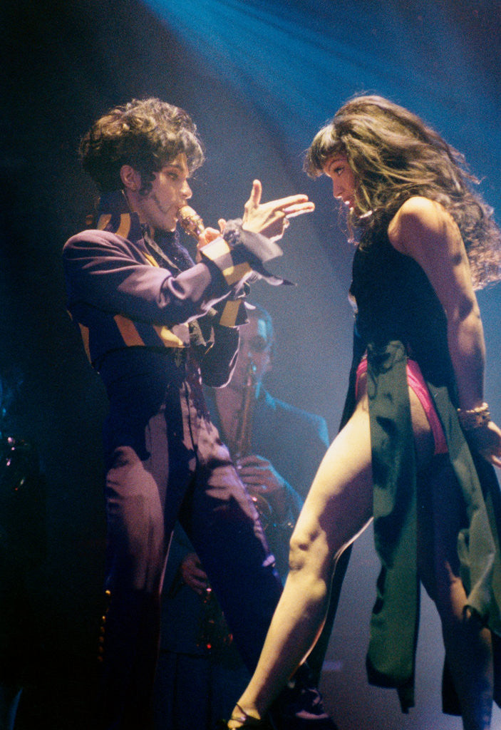 Detail of Prince, 1993 by Richard Nelmes