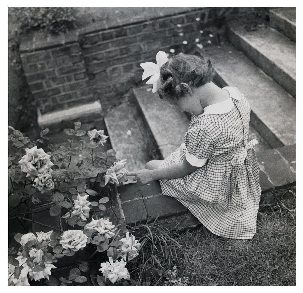 Detail of Princess Alexandra by Cecil Beaton
