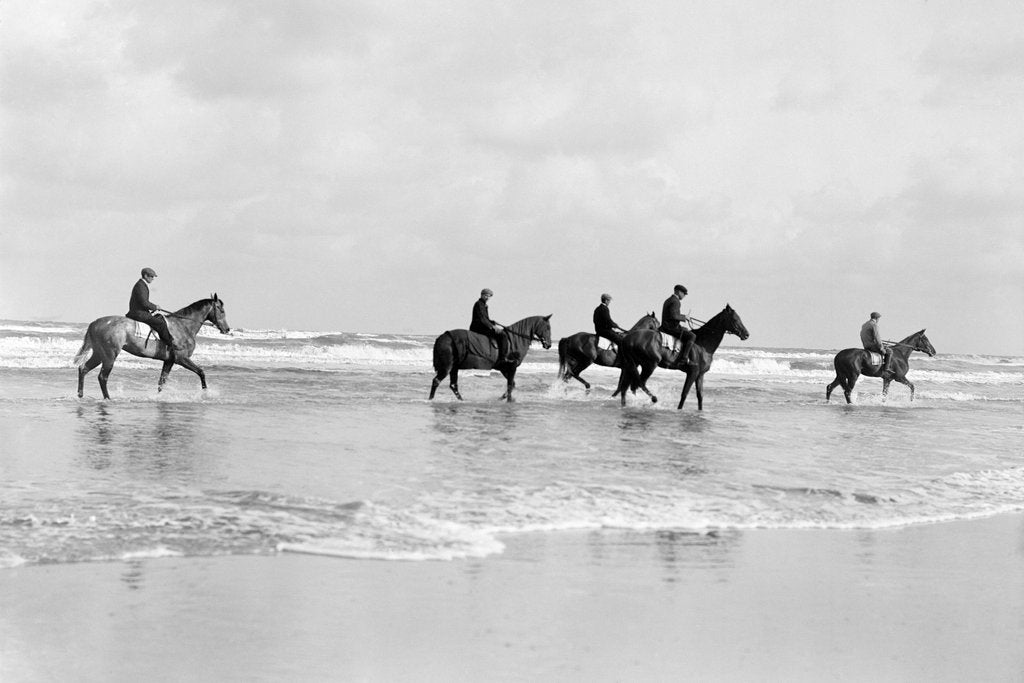 Detail of Horses Exercising in the sea by Andrew Pitcairn-Knowles