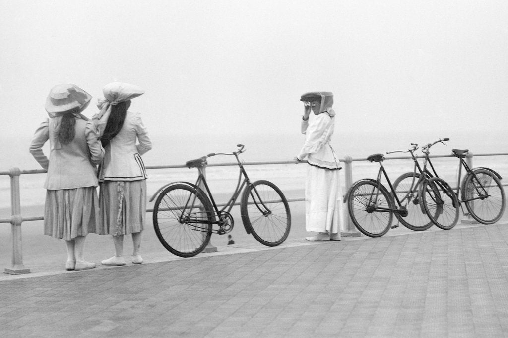 Detail of Bicycles on Promenade by Andrew Pitcairn-Knowles