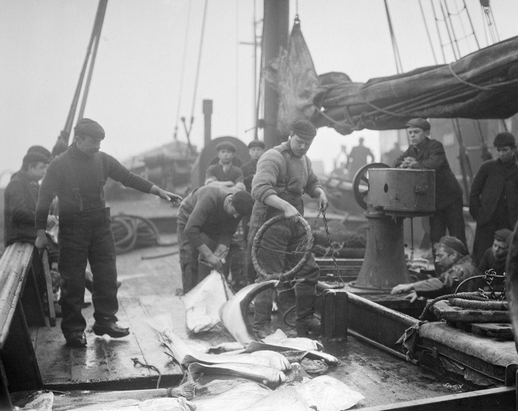 Detail of Unloading Fish on to Deck by Andrew Pitcairn-Knowles