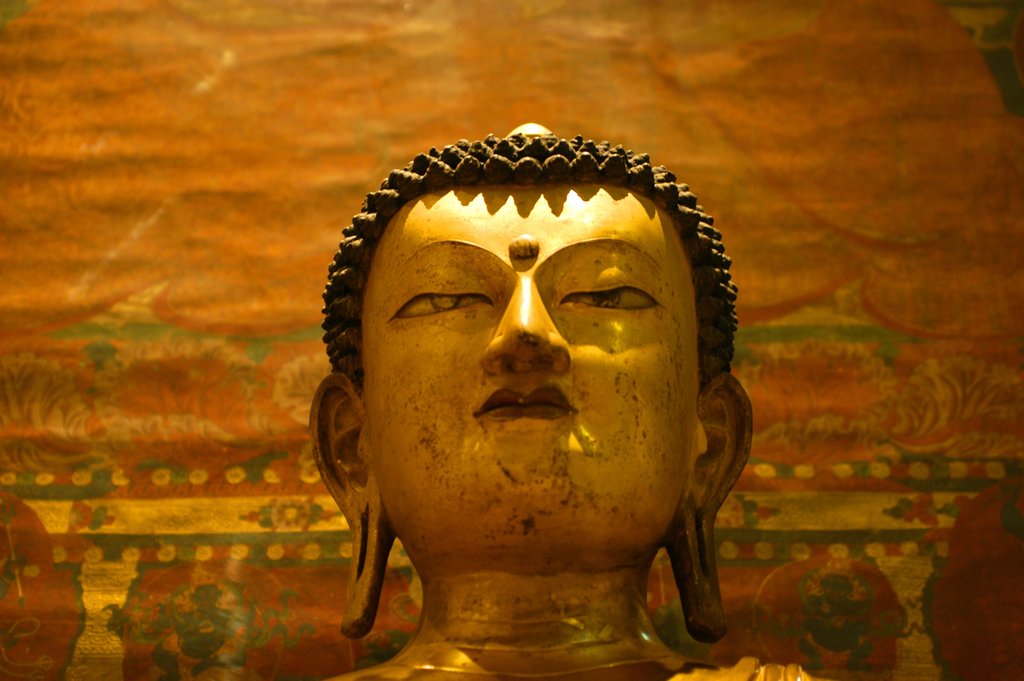 Seated Buddha by Stuart Cox