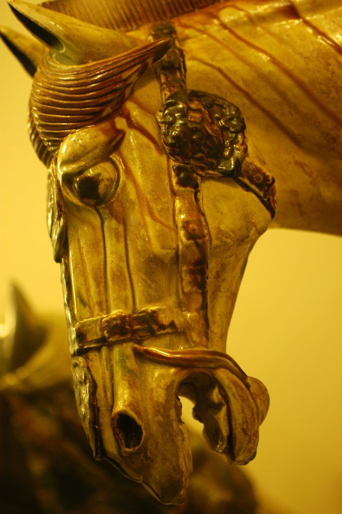Detail of Horse by Stuart Cox