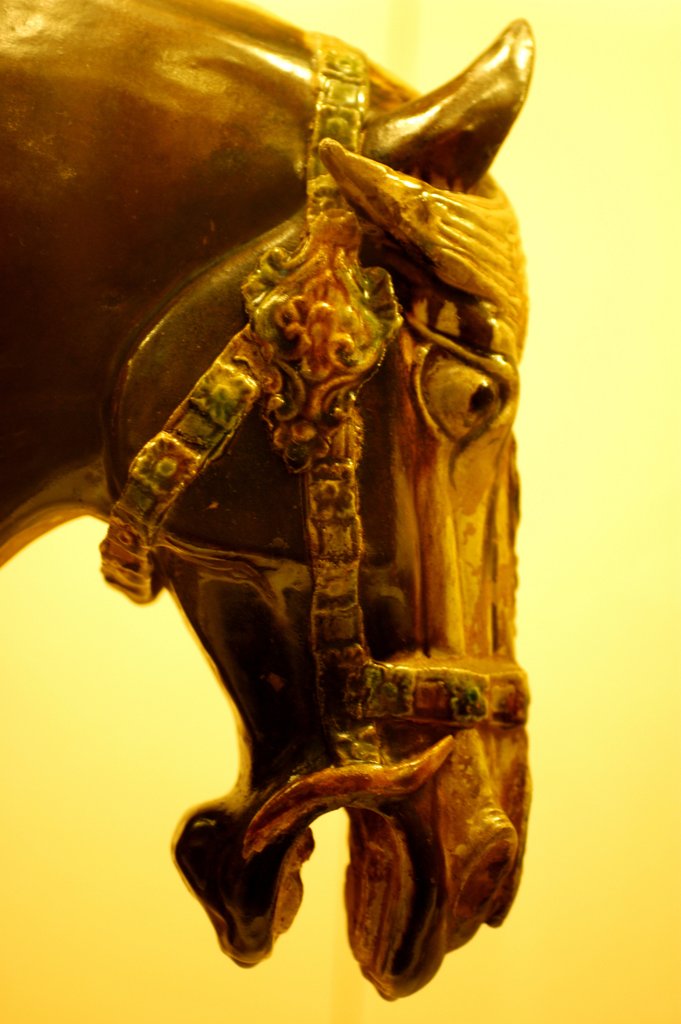 Detail of Horse by Stuart Cox