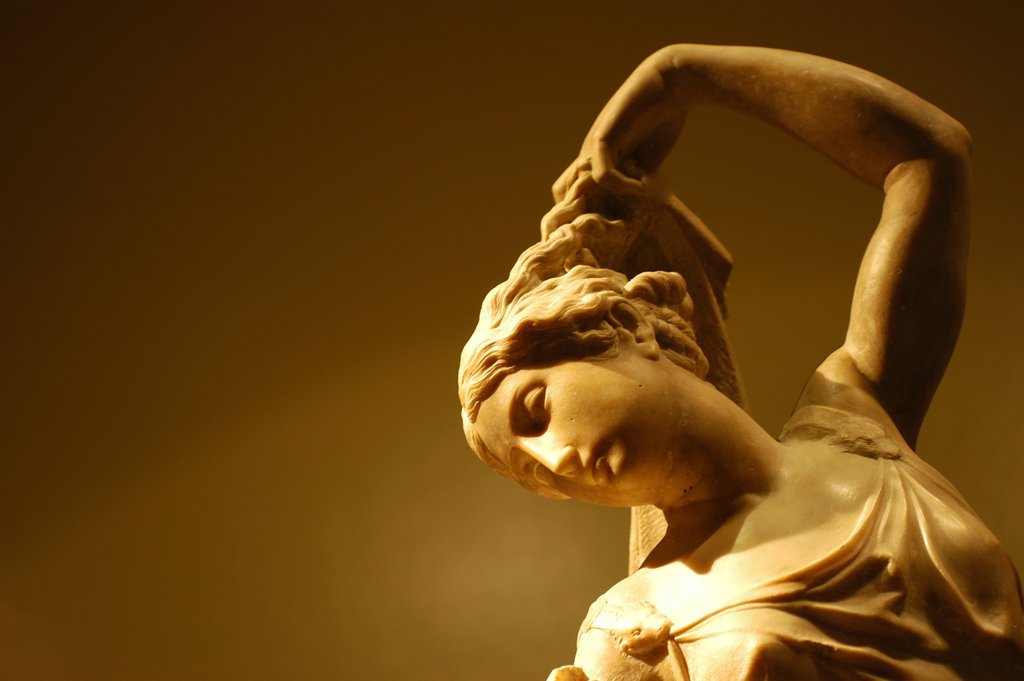 Detail of Leda and The Swan by Stuart Cox