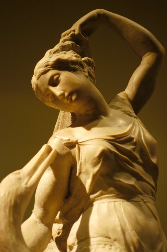 Detail of Leda and The Swan by Stuart Cox