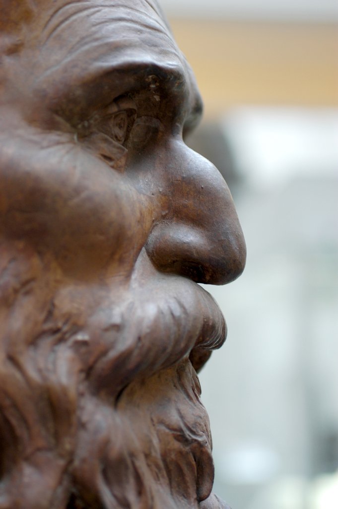Detail of Portrait of a man, detail by Stuart Cox