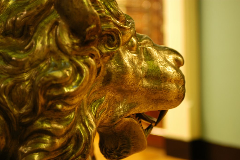 Detail of Lion, detail by Stuart Cox