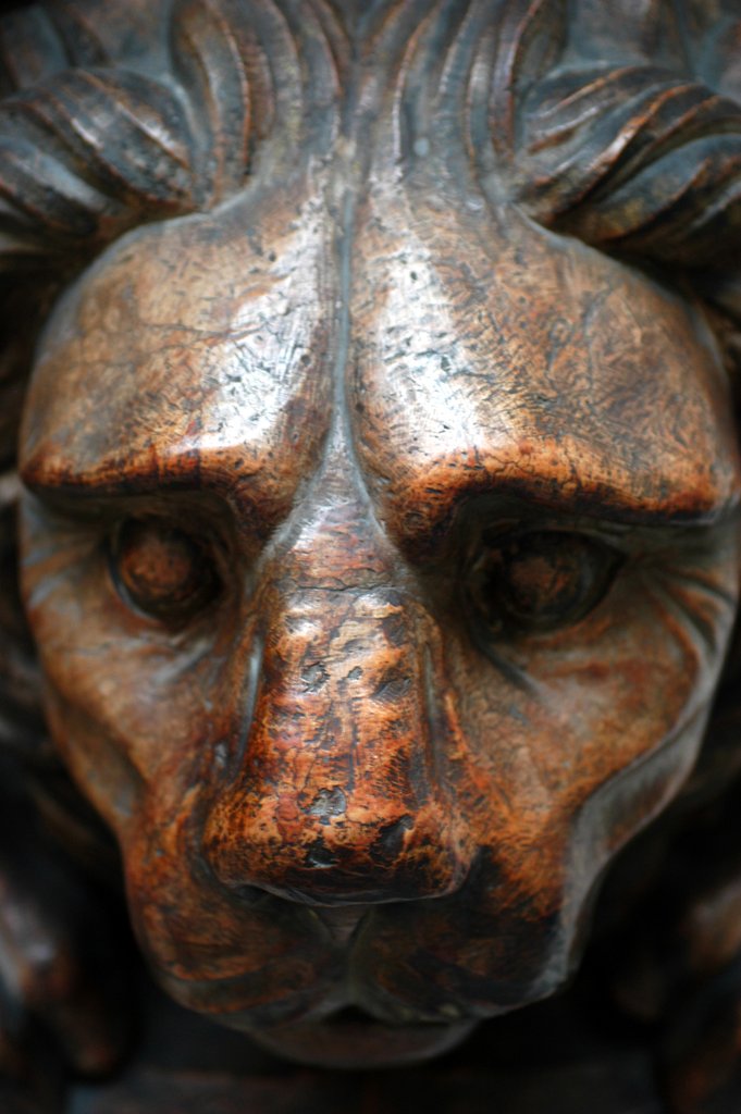 Detail of Lion by Stuart Cox
