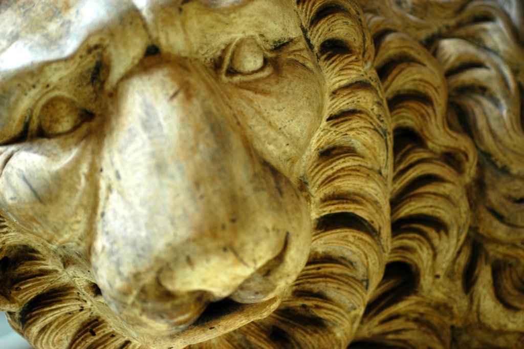 Detail of Lion, detail of a Pulpit by Stuart Cox