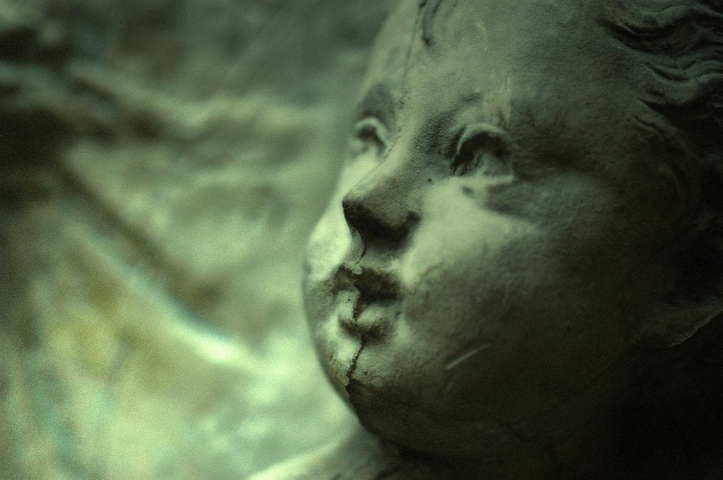 Detail of Virgin and Child with Saints, detail by Stuart Cox