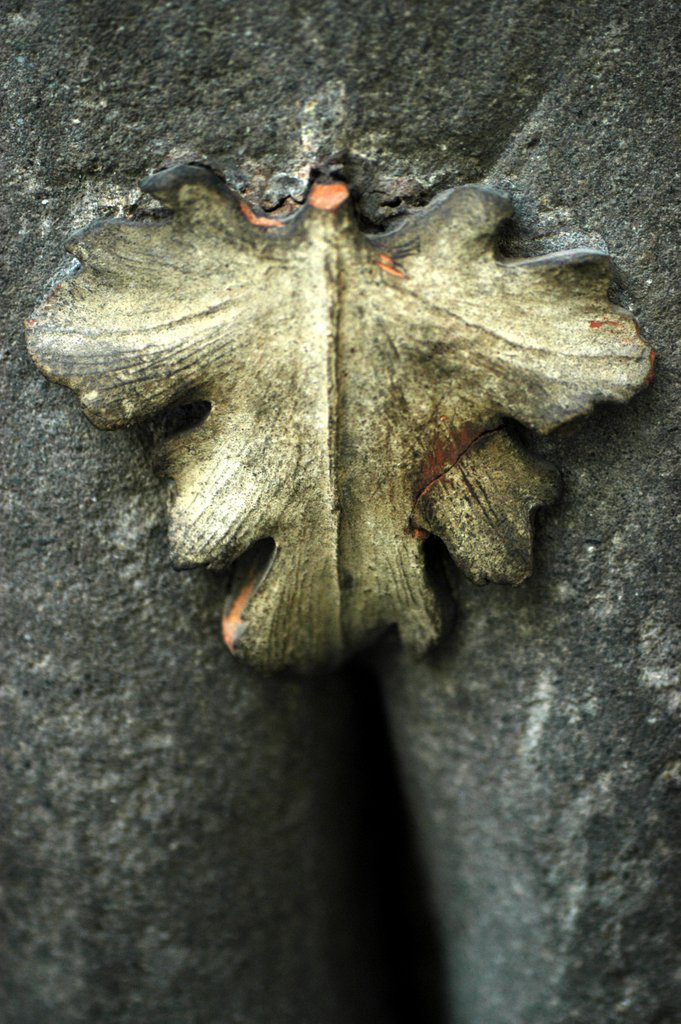 Detail of Fig leaf, detail from a chimneypiece from Palazzo Rusconi by Stuart Cox