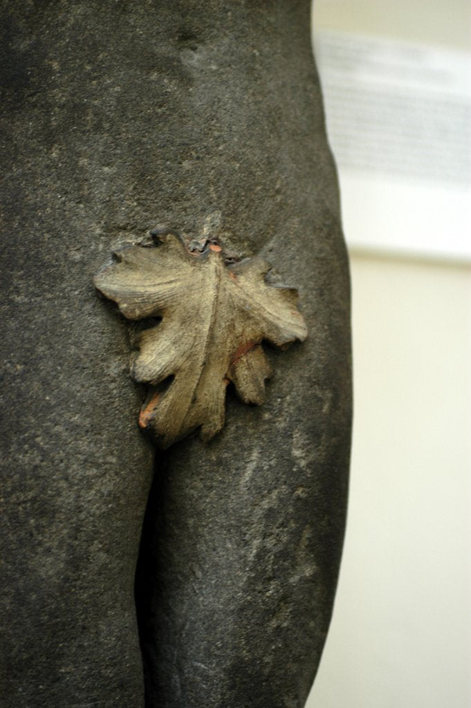 Detail of Fig leaf from a chimneypiece from Palazzo Rusconi by Stuart Cox