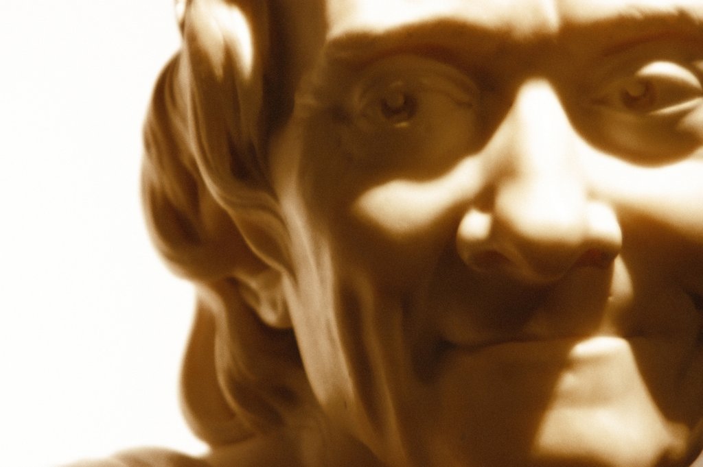 Detail of Francois Marie Aronet de Voltaire, detail by Stuart Cox