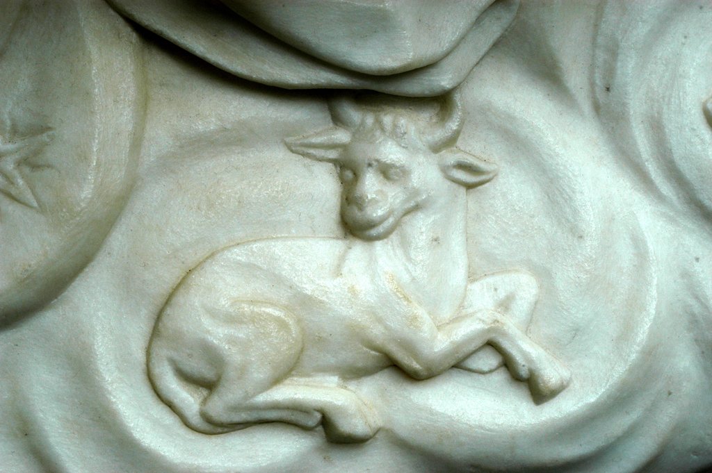 Detail of Taurus, detail by Stuart Cox