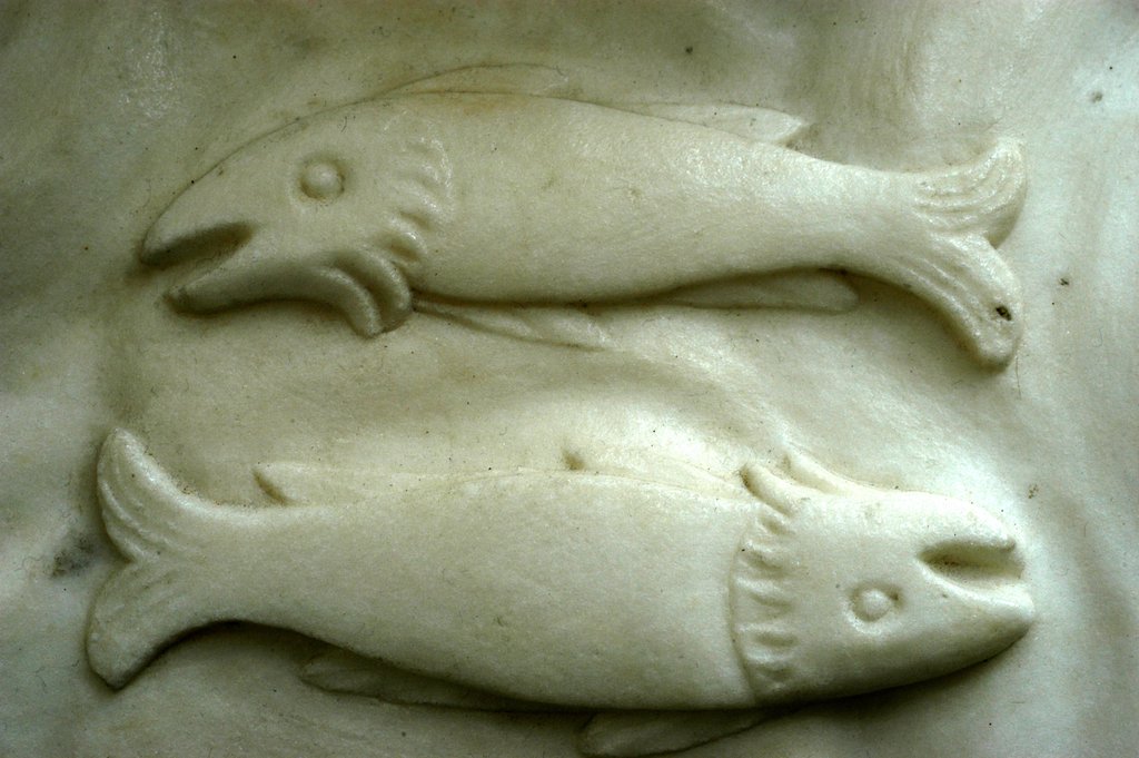 Detail of Pisces by Stuart Cox