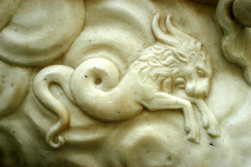 Detail of Capricorn by Stuart Cox