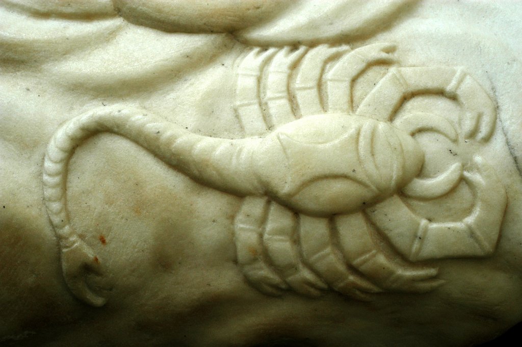 Detail of Scorpio by Stuart Cox