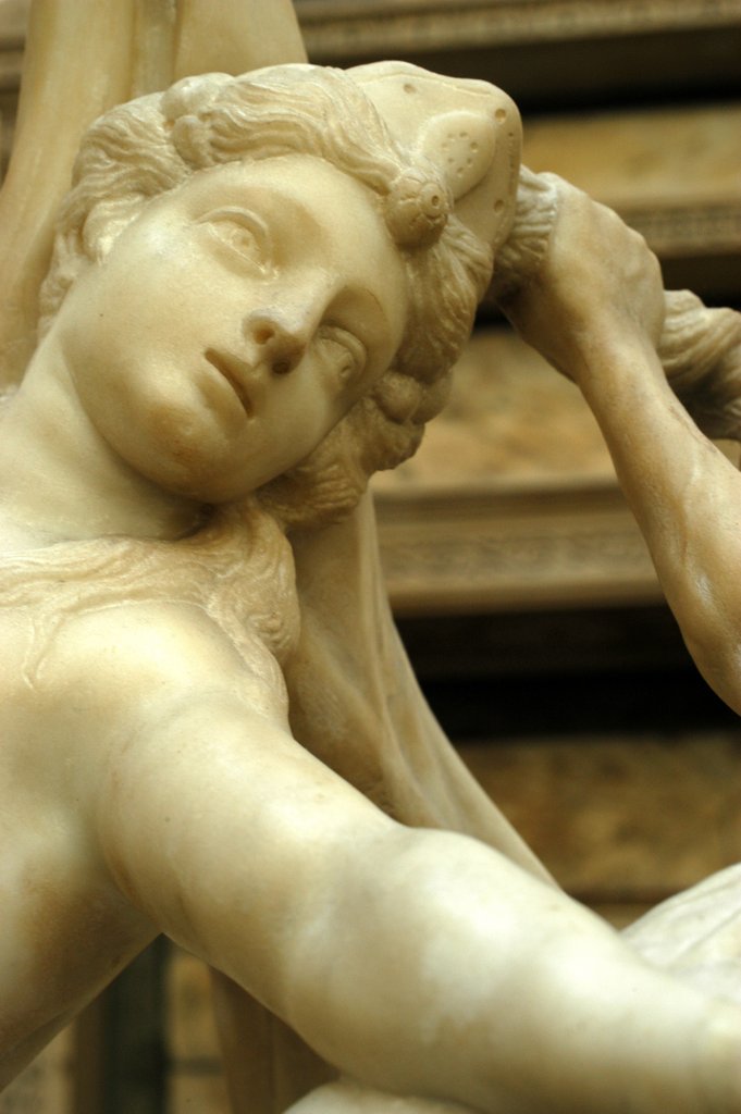 Detail of Hylonome Restrained by Lapiths, detail of Centaur by Stuart Cox