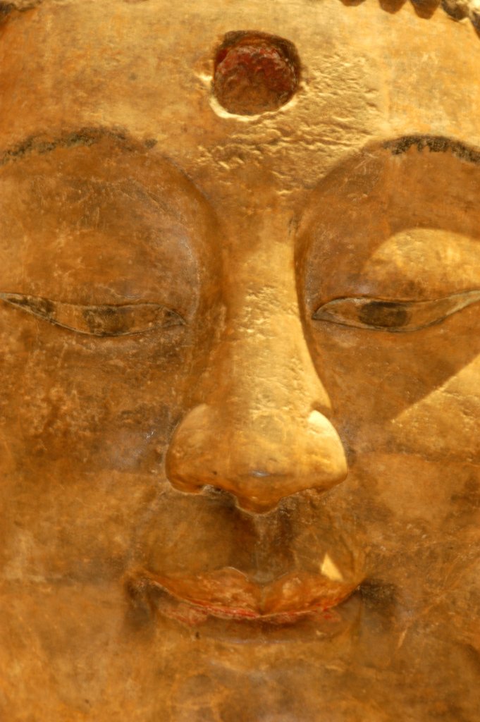 Detail of Head of the Buddha, detail by Stuart Cox