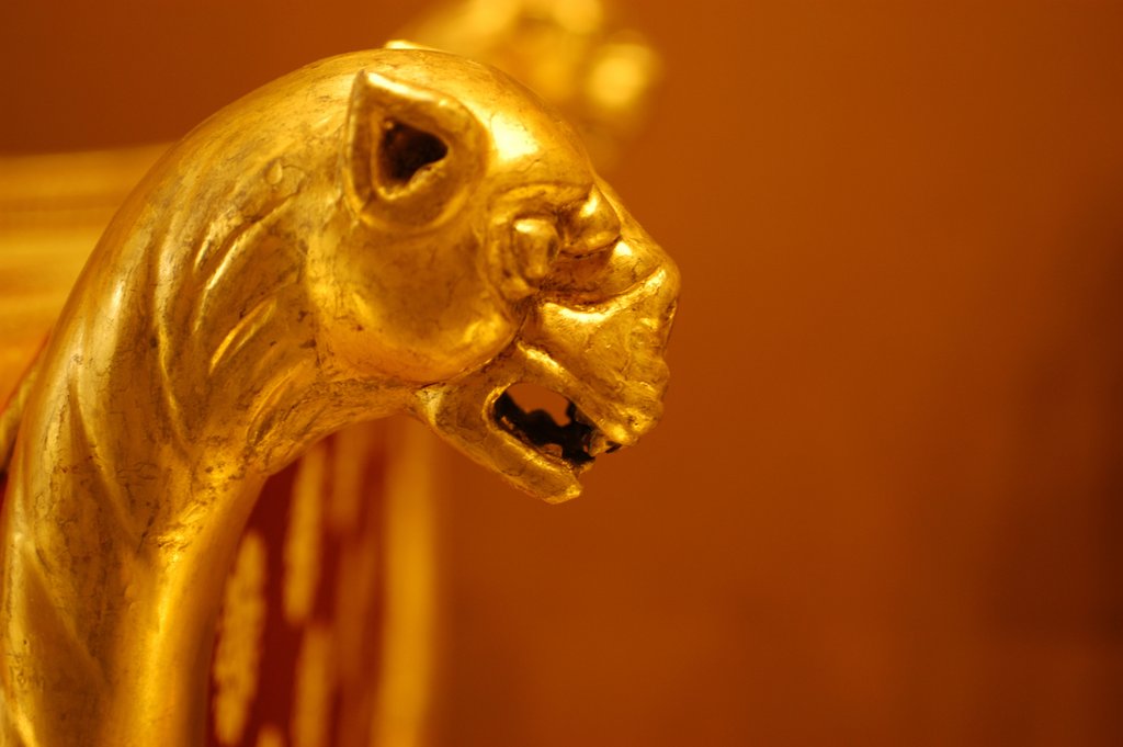 Detail of Chaise-lounge, detail by Stuart Cox