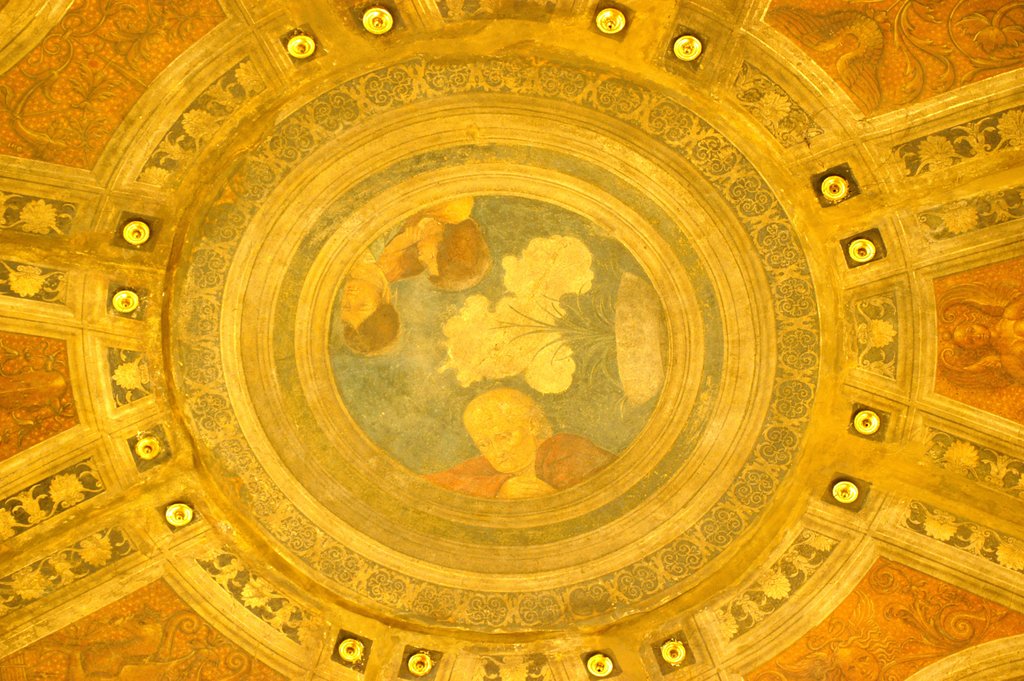 Detail of Casa Maffi, detail of ceiling by Stuart Cox