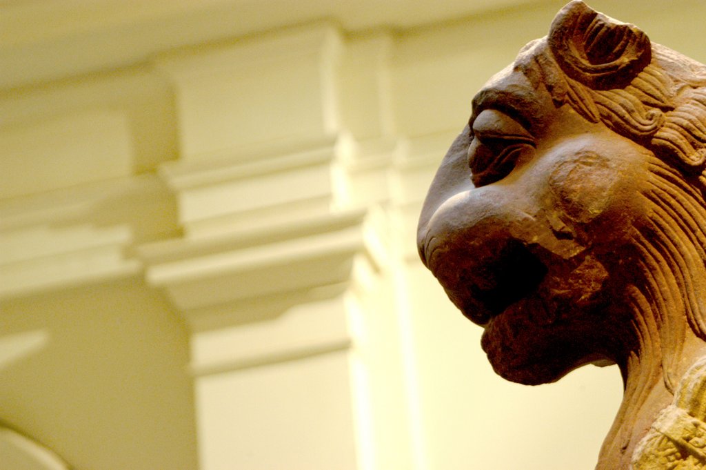Detail of Mythical beast, detail by Stuart Cox