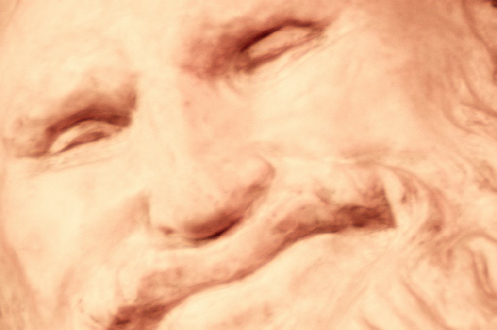 Detail of Head of a satyr, detail by Stuart Cox