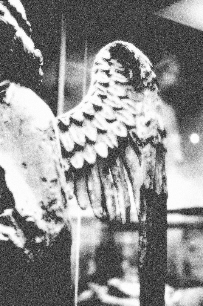 Detail of The Angel of the Annunciation, detail by Stuart Cox