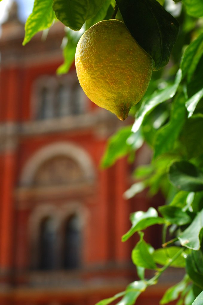Detail of V&A Museum, John Madejski Garden, designed by Kim Wilkie by Stuart Cox