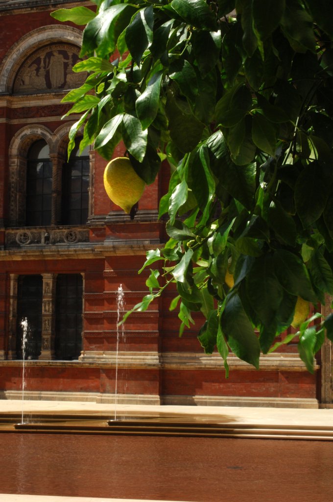 Detail of V&A Museum, John Madejski Garden, designed by Kim Wilkie by Stuart Cox