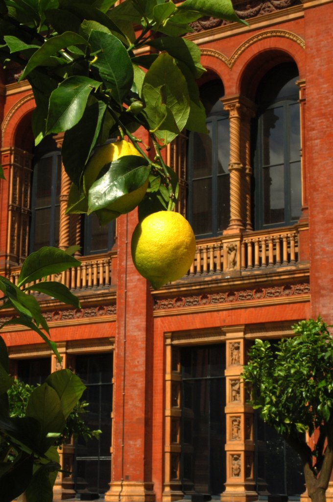 Detail of V&A Museum, John Madejski Garden, designed by Kim Wilkie by Stuart Cox