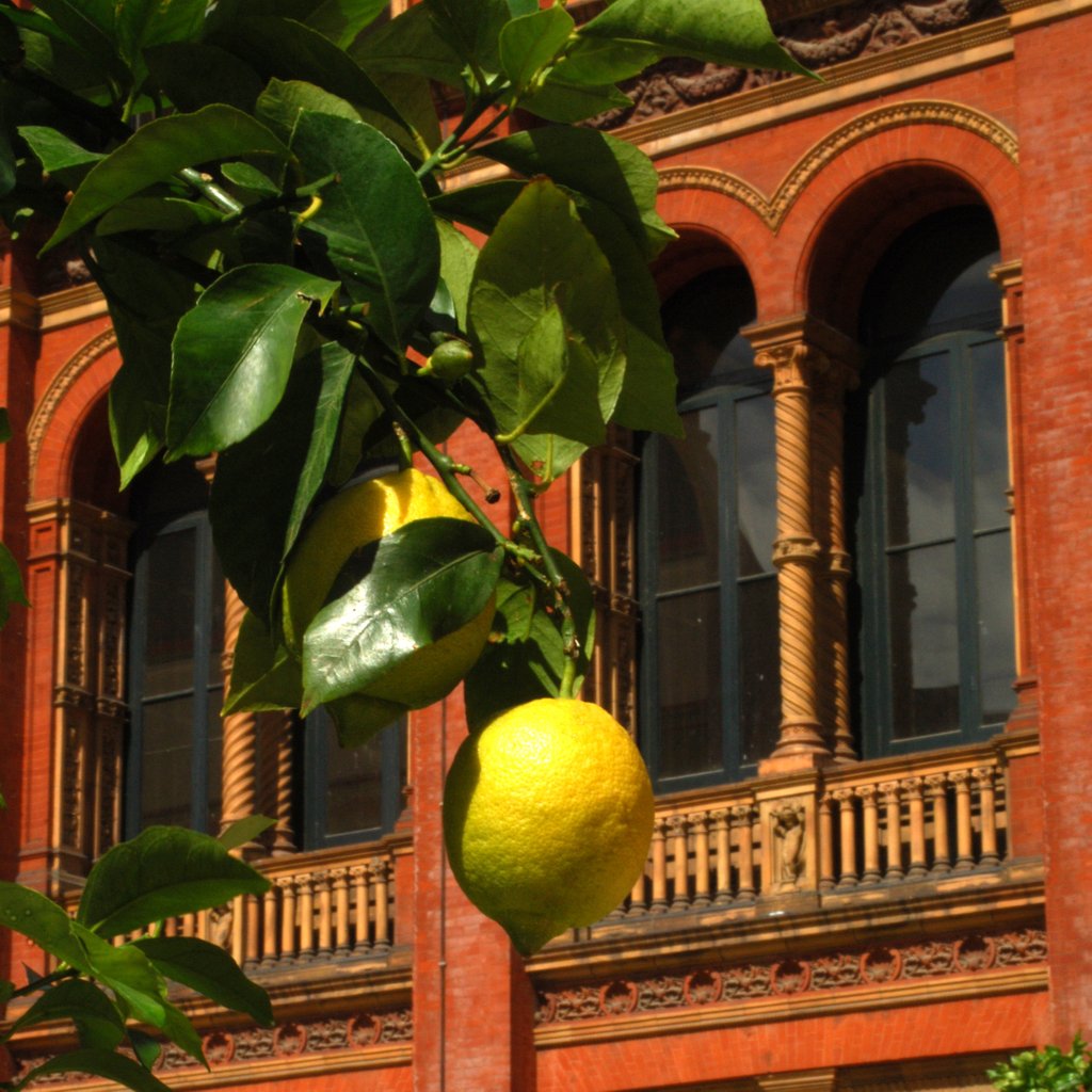 Detail of V&A Museum, John Madejski Garden, designed by Kim Wilkie by Stuart Cox