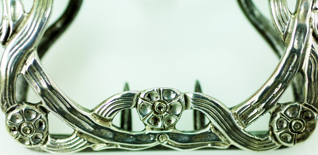 Detail of Shoe buckle, detail by Stuart Cox