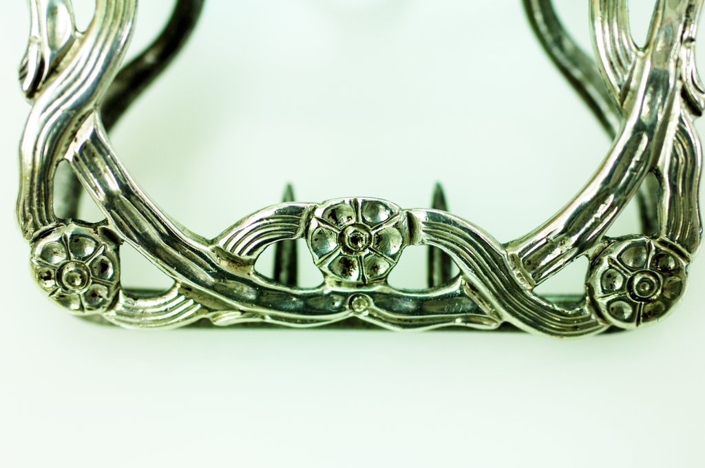 Detail of Shoe buckle, detail by Stuart Cox