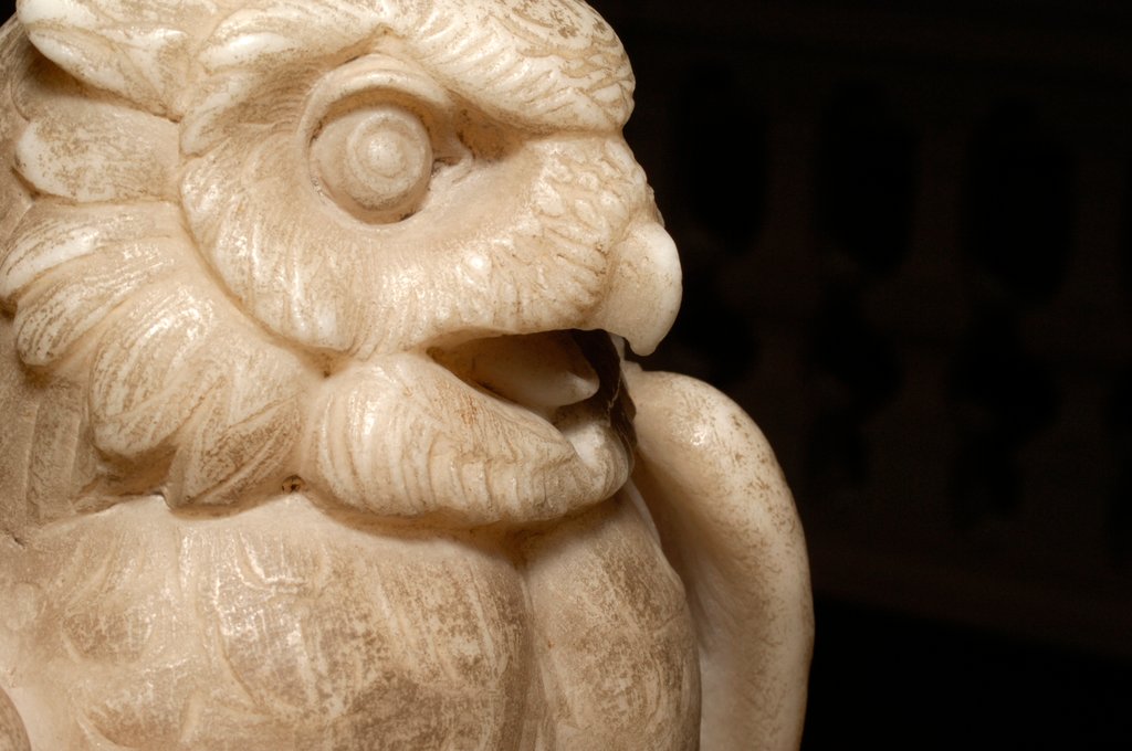Detail of Owl by Stuart Cox