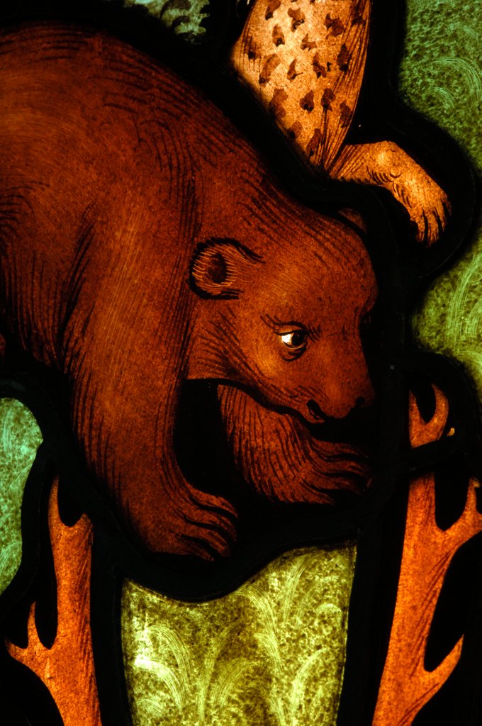 Detail of Bear from St by Stuart Cox