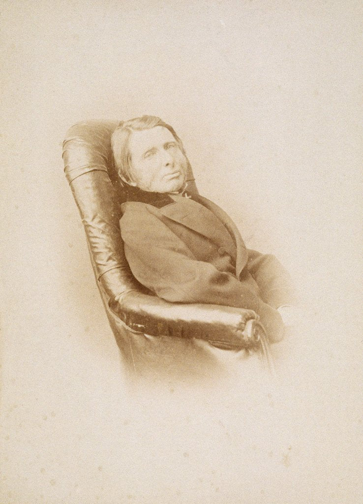 Detail of John Ruskin by Lewis Carroll
