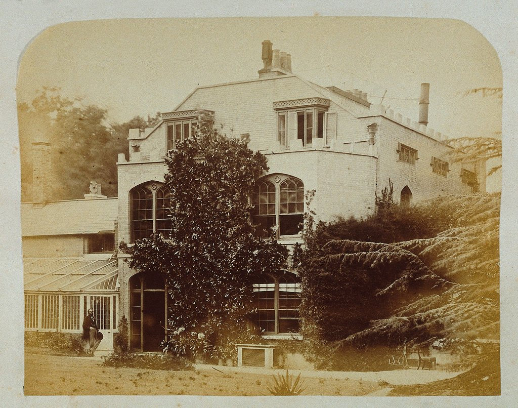 Detail of House by Lewis Carroll