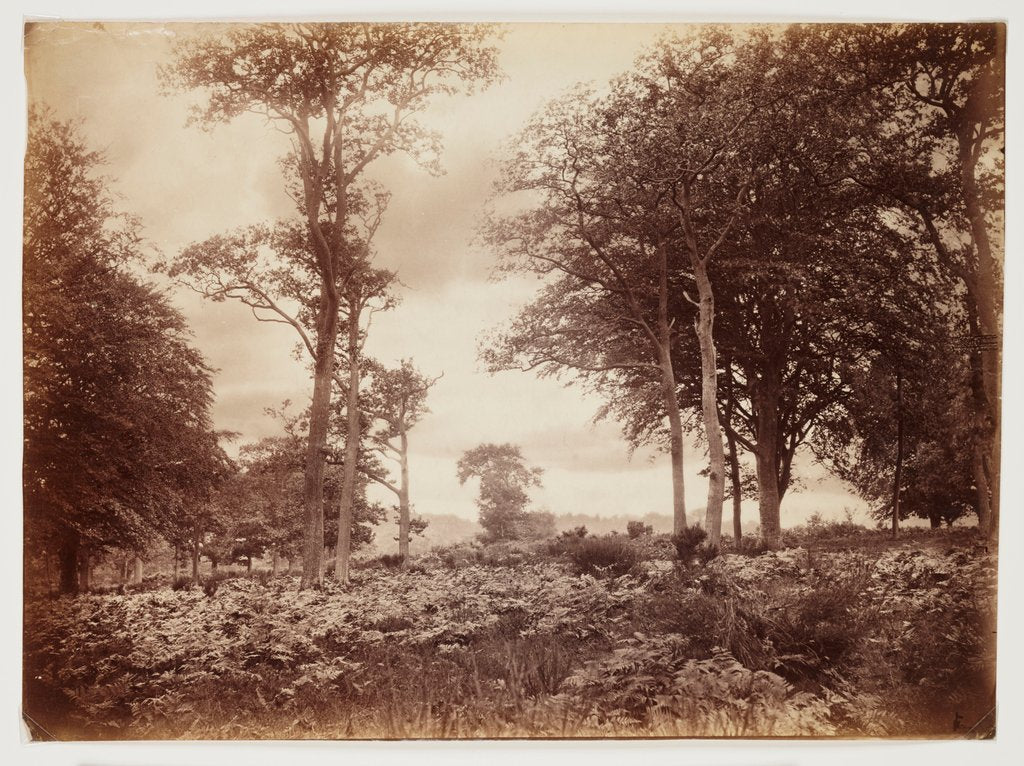 Detail of Landscape by Henry Peach Robinson