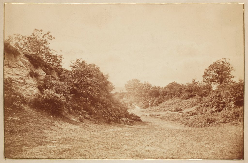 Detail of Culverdon Down by Henry Peach Robinson