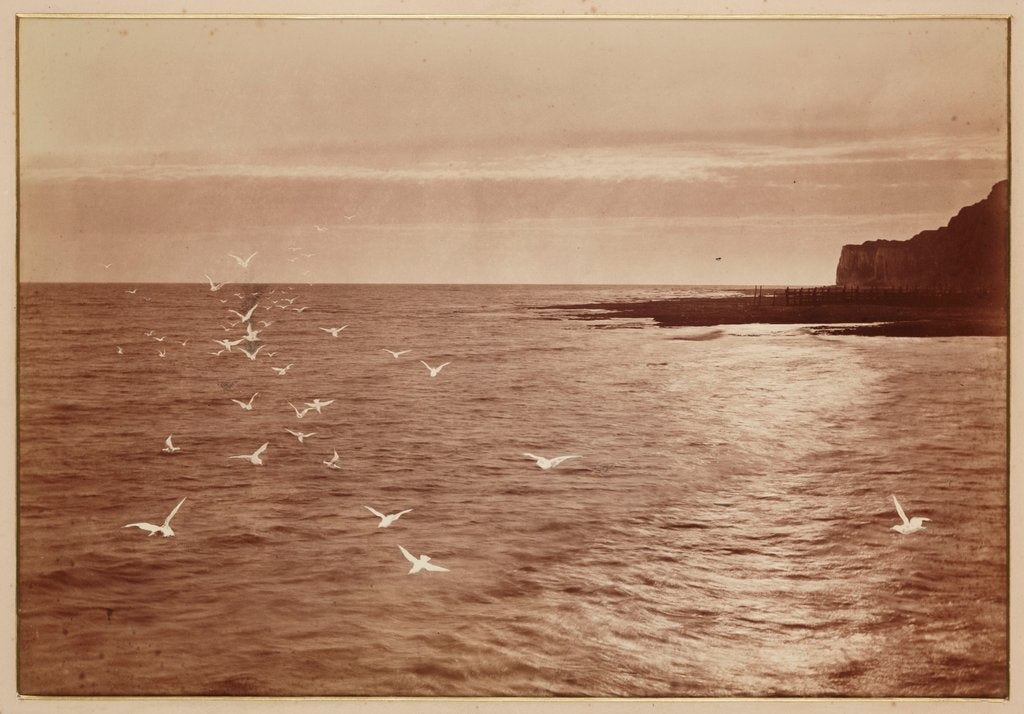 Detail of Seagulls by Henry Peach Robinson