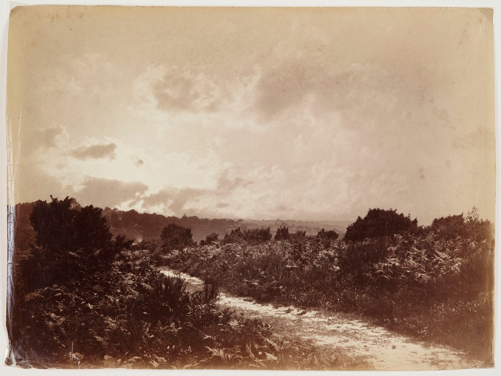 Detail of Evening on Culverdon Down by c 1868