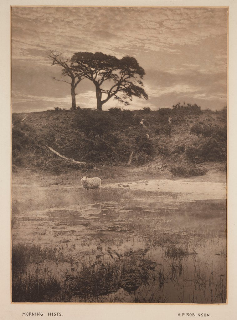 Detail of Morning Mists by Henry Peach Robinson